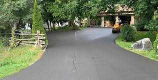 Best Driveway Pressure Washing  in Coats, NC